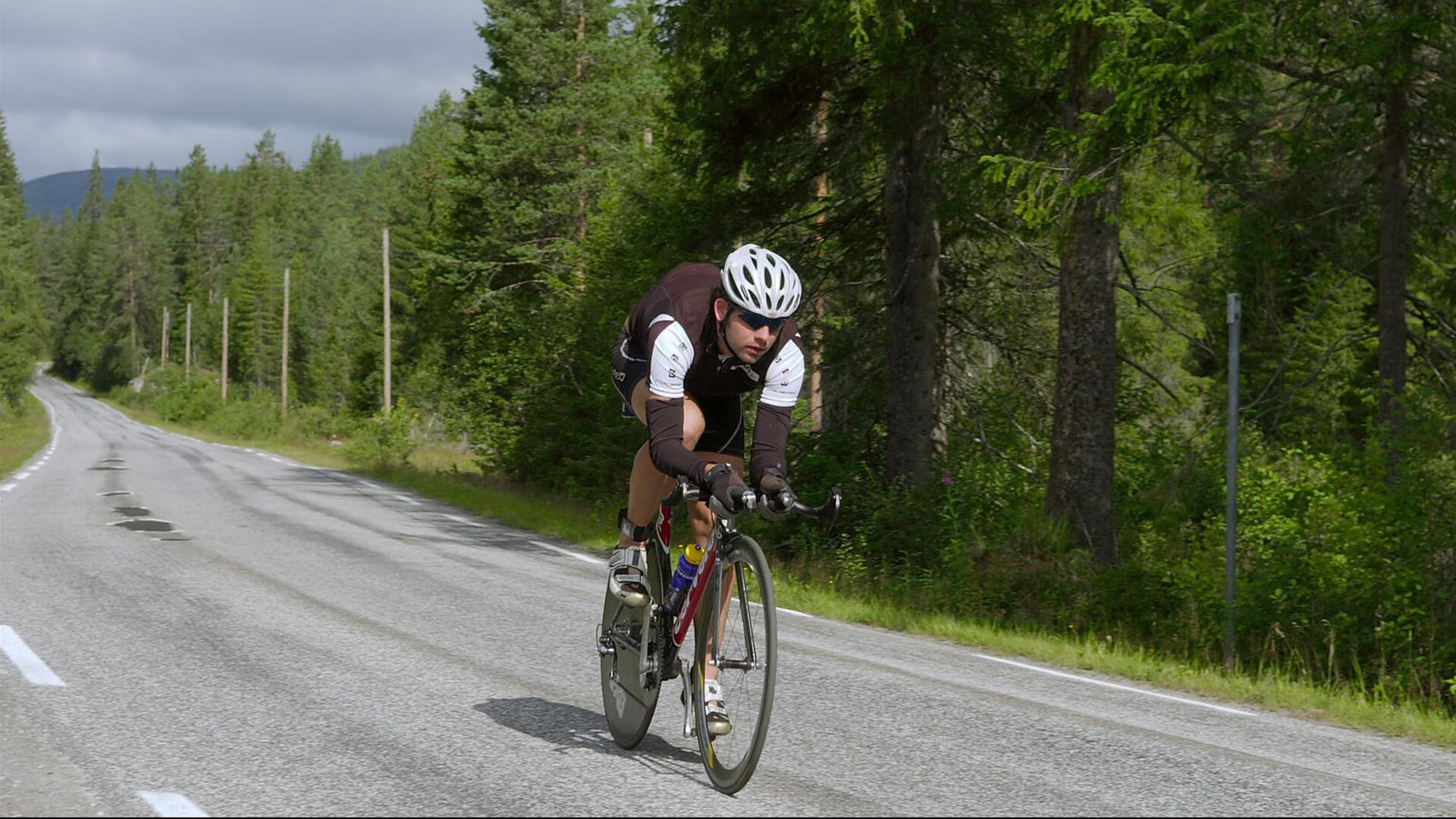 索赔绿色:国际赛场上的碳中和目标,中国绿色碳基金碳补偿标识